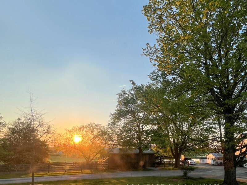 WOMEN MEAN BUSINESS IN SHELBY COUNTY, KY